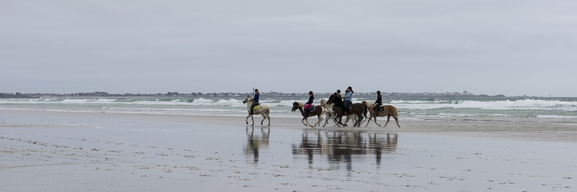 012-chevaux-a-tronoen.jpg