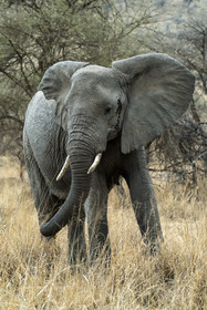 0140-tanzanie-2022.jpg