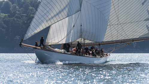 136-hoalen-2024.jpg