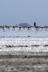 0242-tanzanie-2022.jpg