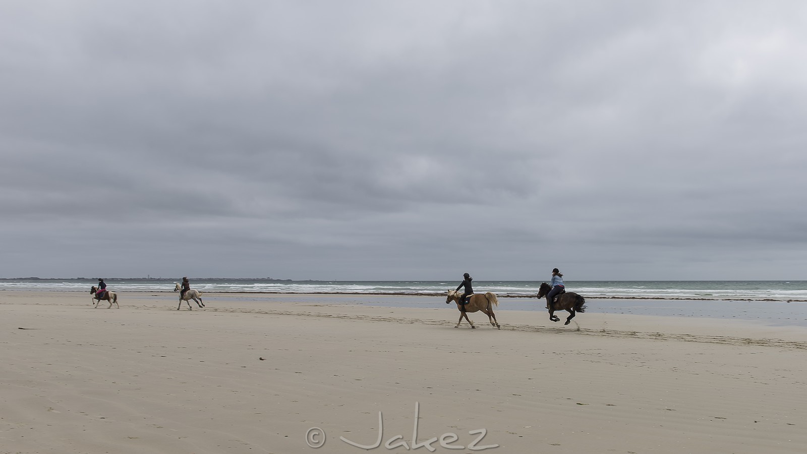 007-chevaux-a-tronoen.jpg