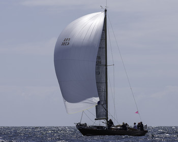 146.jpg