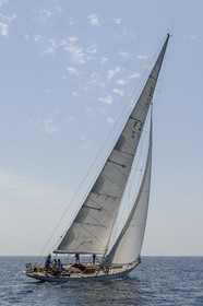 1433-21062025.jpg