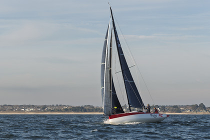 Pogo RC - Premiers bords