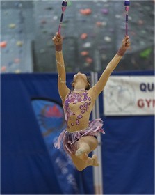 R4-27-07-TRAN Allison