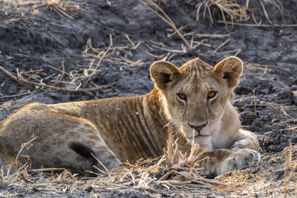 0005-tanzanie-2022.jpg