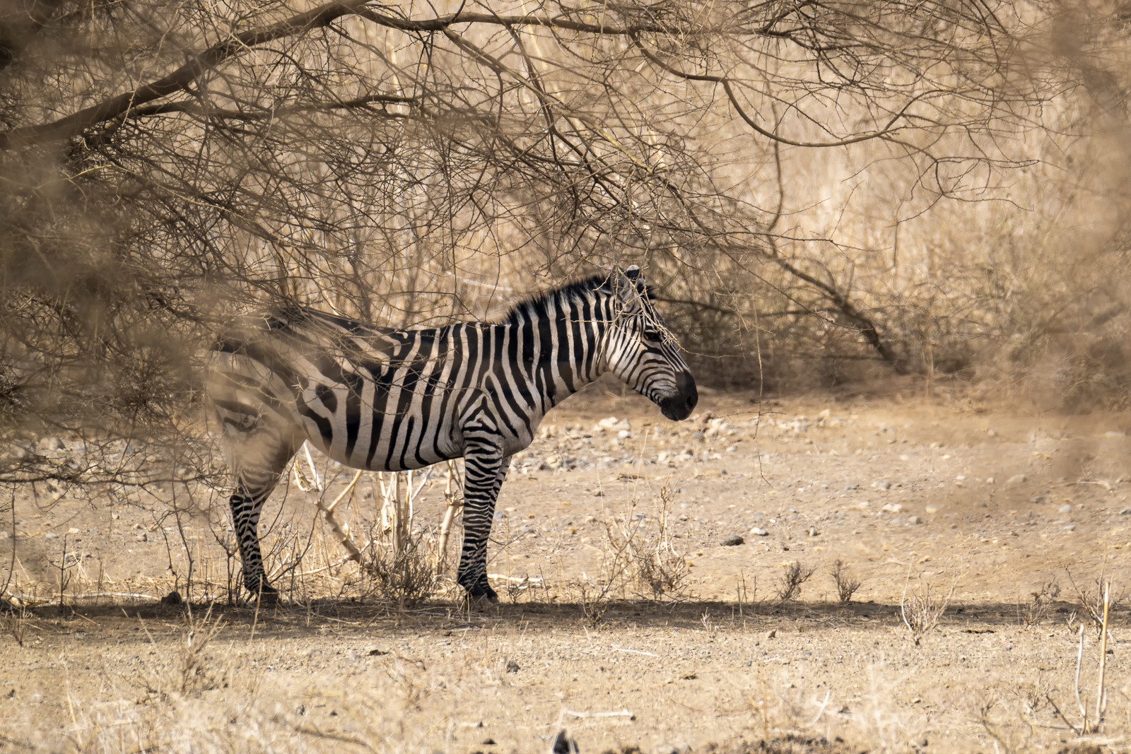 0262-tanzanie-2022.jpg