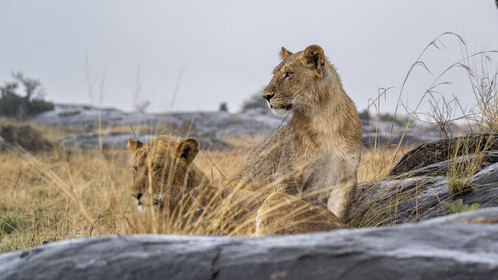 0170-tanzanie-2022.jpg