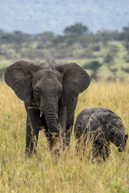 0186-tanzanie-2022.jpg