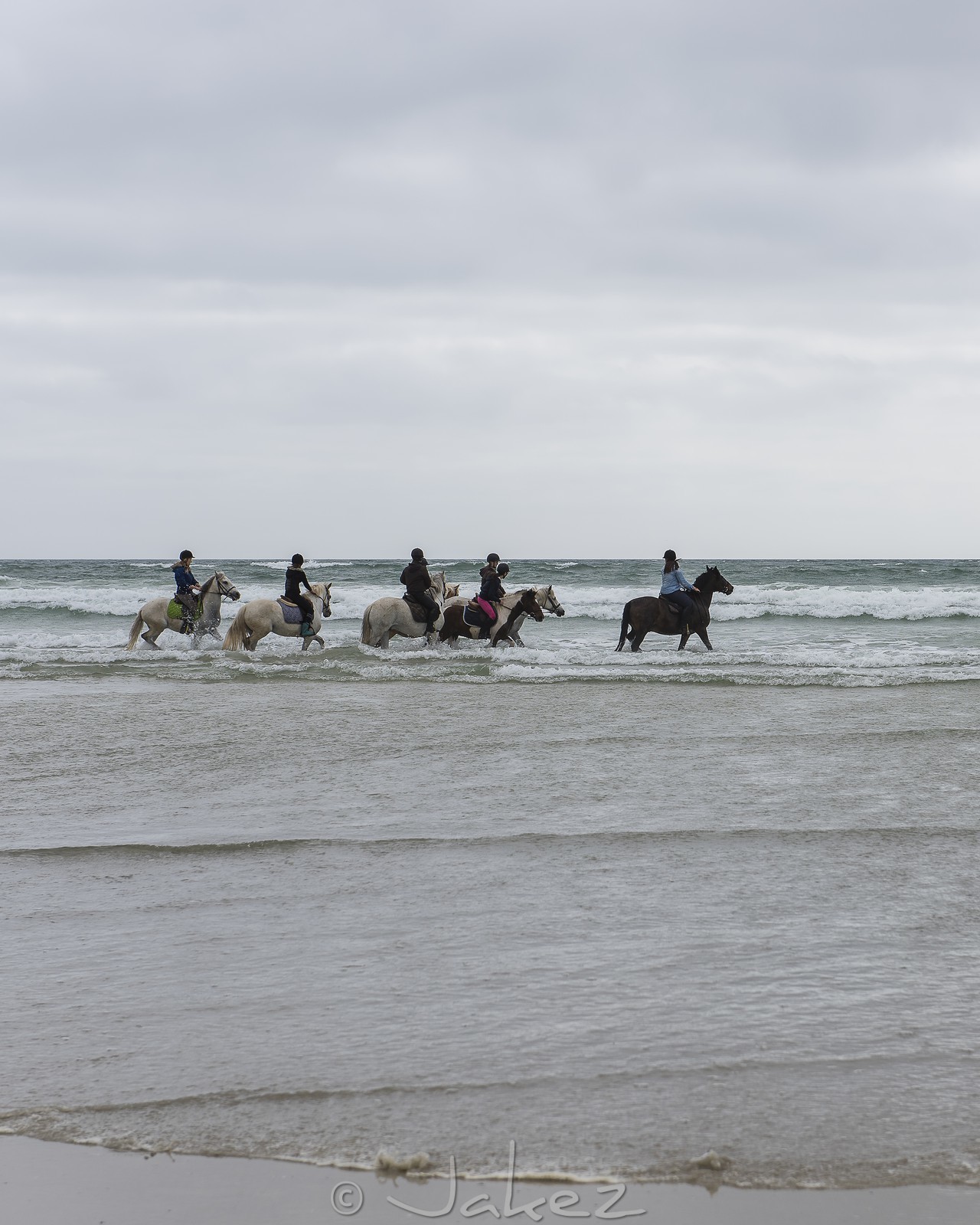 013-chevaux-a-tronoen.jpg
