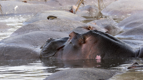 0103-tanzanie-2022.jpg