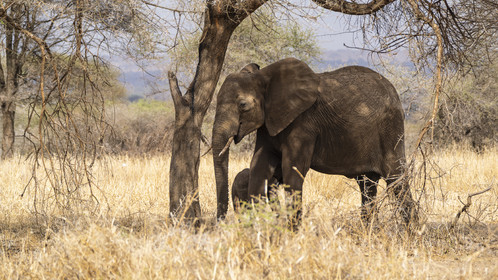 0012-tanzanie-2022.jpg
