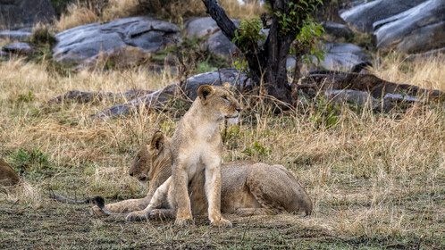 0159-tanzanie-2022.jpg