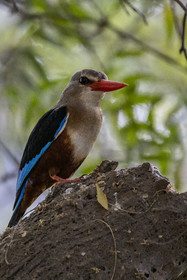 0217-tanzanie-2022.jpg