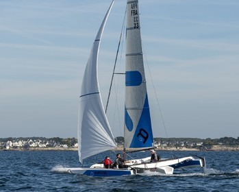 TA-233