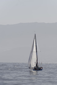043-mini-2023.jpg