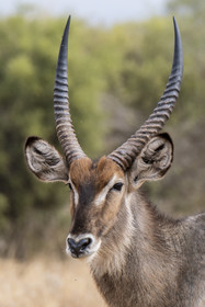 0014-tanzanie-2022.jpg