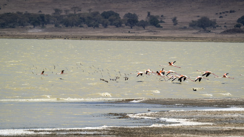 0080-tanzanie-2022.jpg