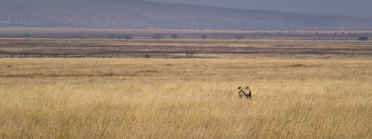 0136-tanzanie-2022.jpg