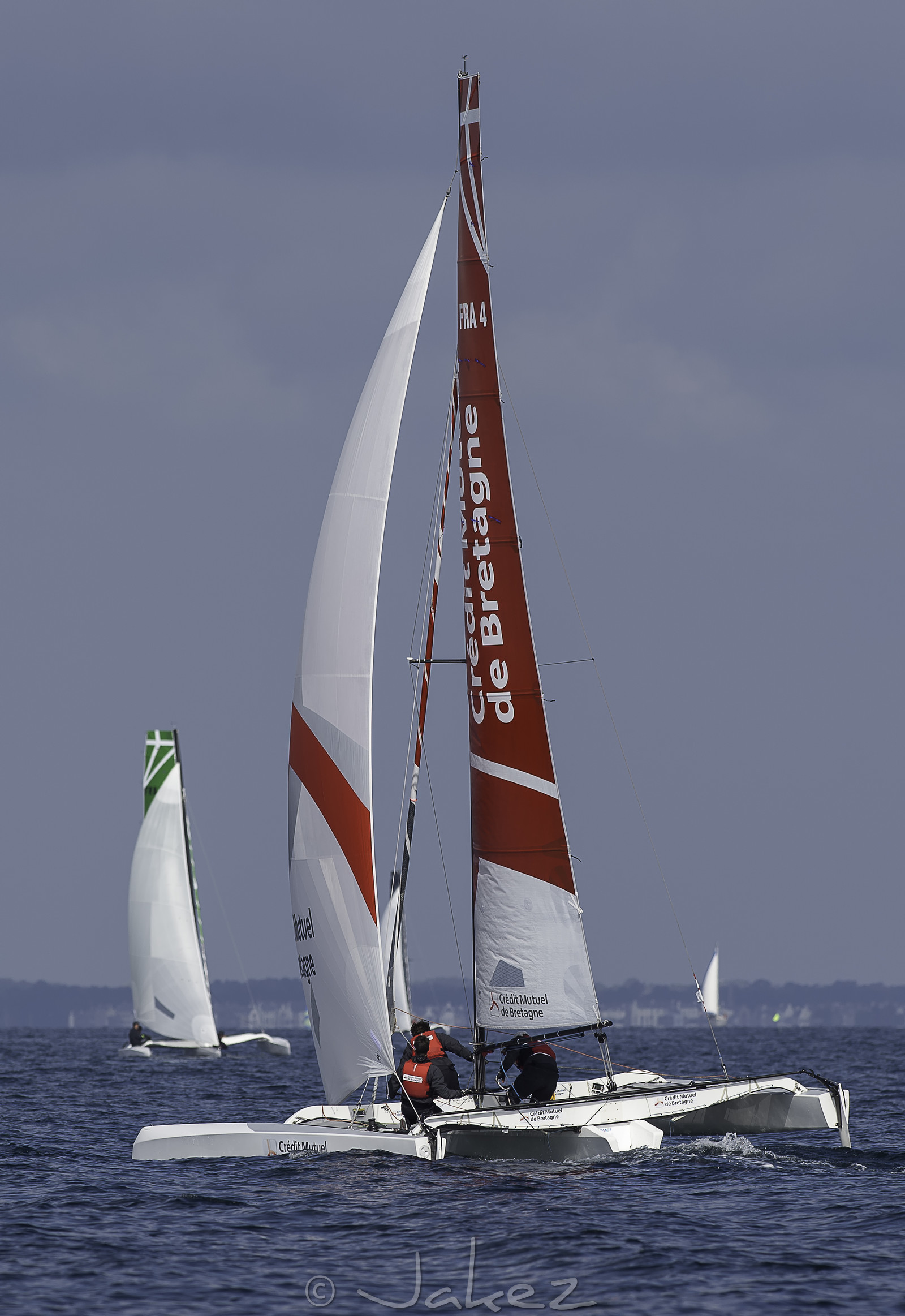 61-multyco-2016.jpg