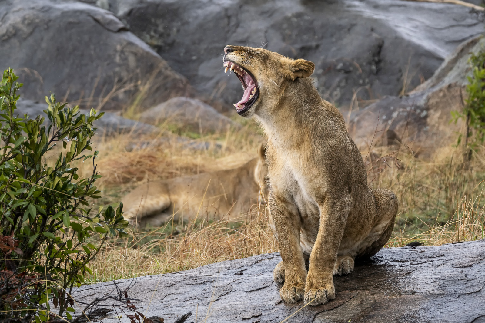 0174-tanzanie-2022.jpg