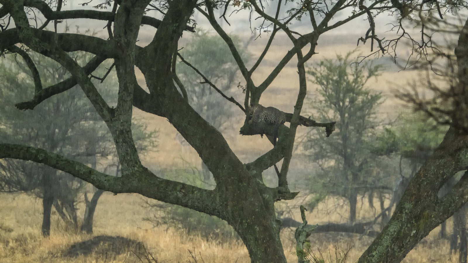 0137-tanzanie-2022.jpg