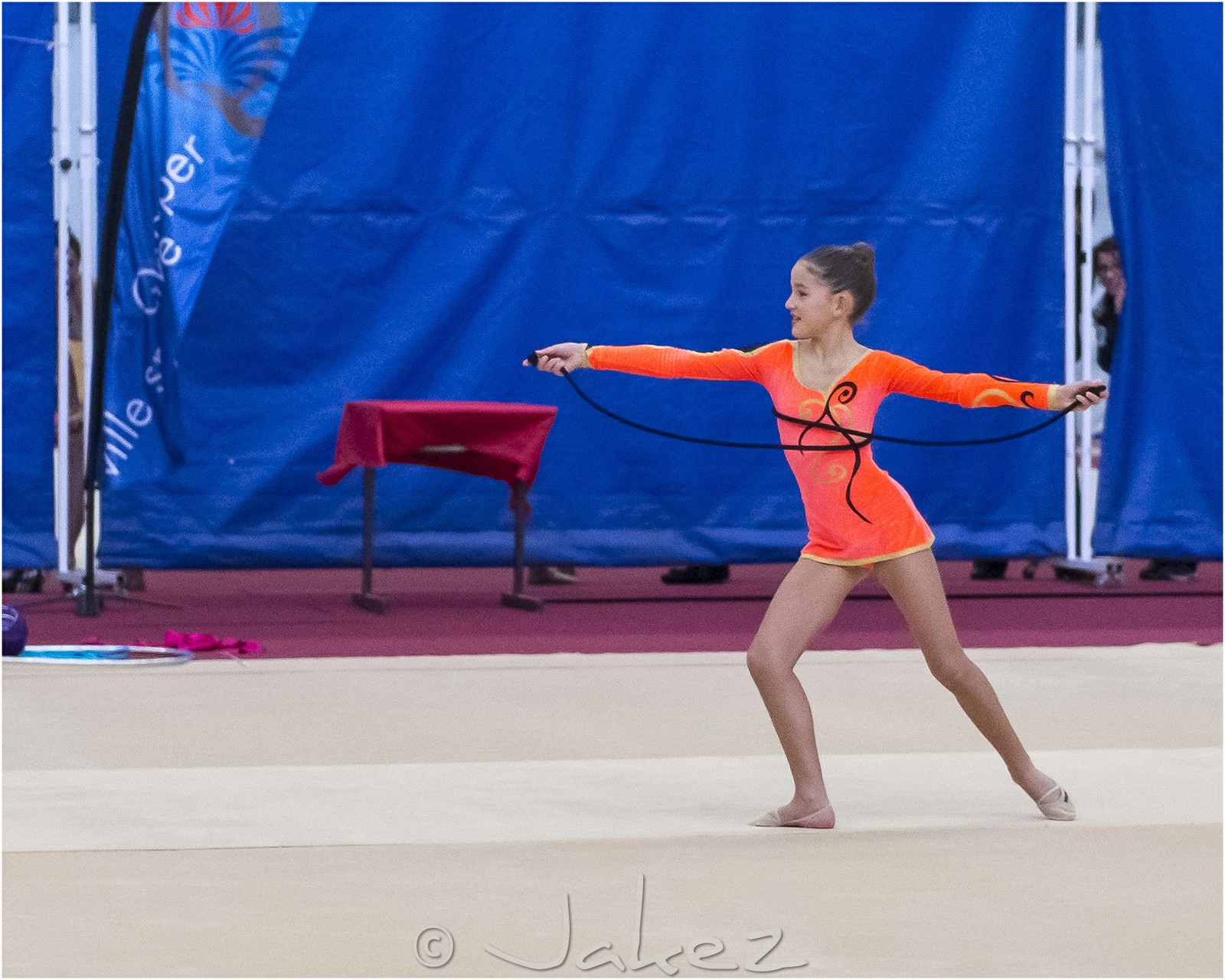 R1-001-09-PINATEL Lina