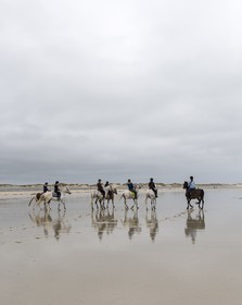 023-chevaux-a-tronoen.jpg