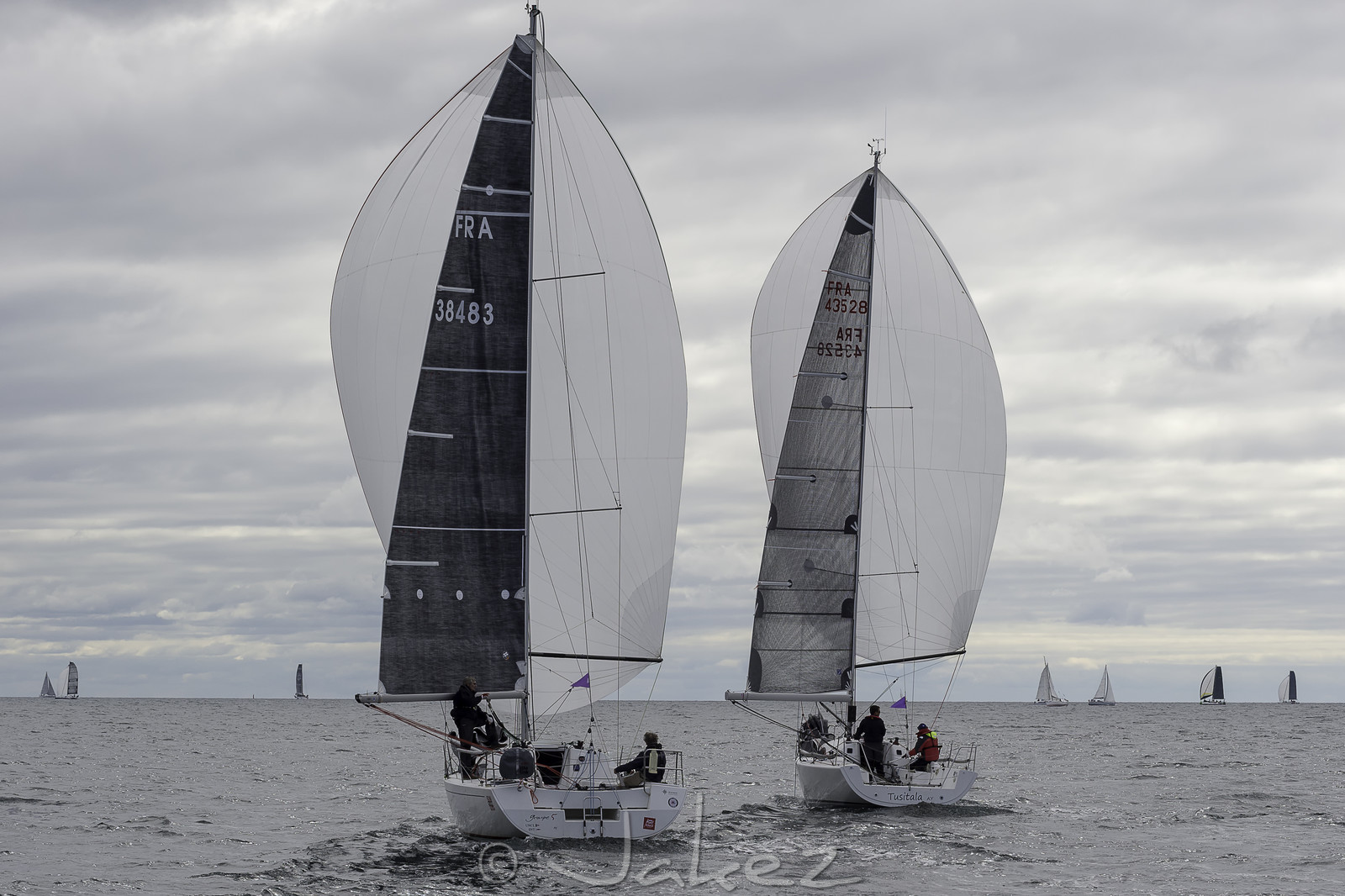 055-spi-2017.jpg