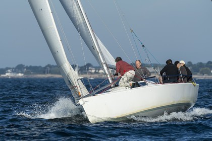 TA-038