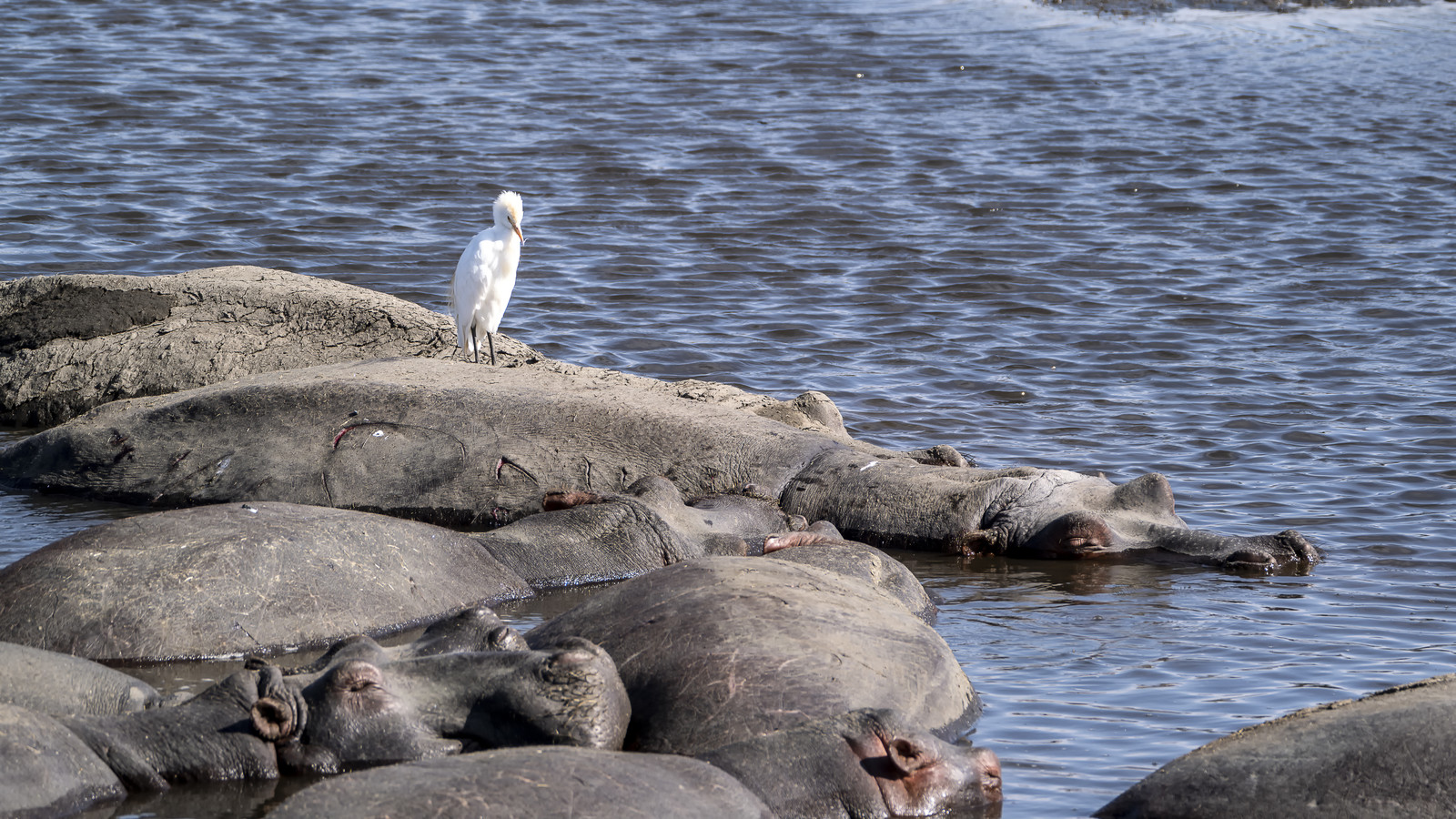 0061-tanzanie-2022.jpg