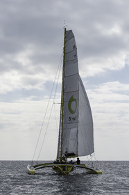 42-multyco-2016.jpg