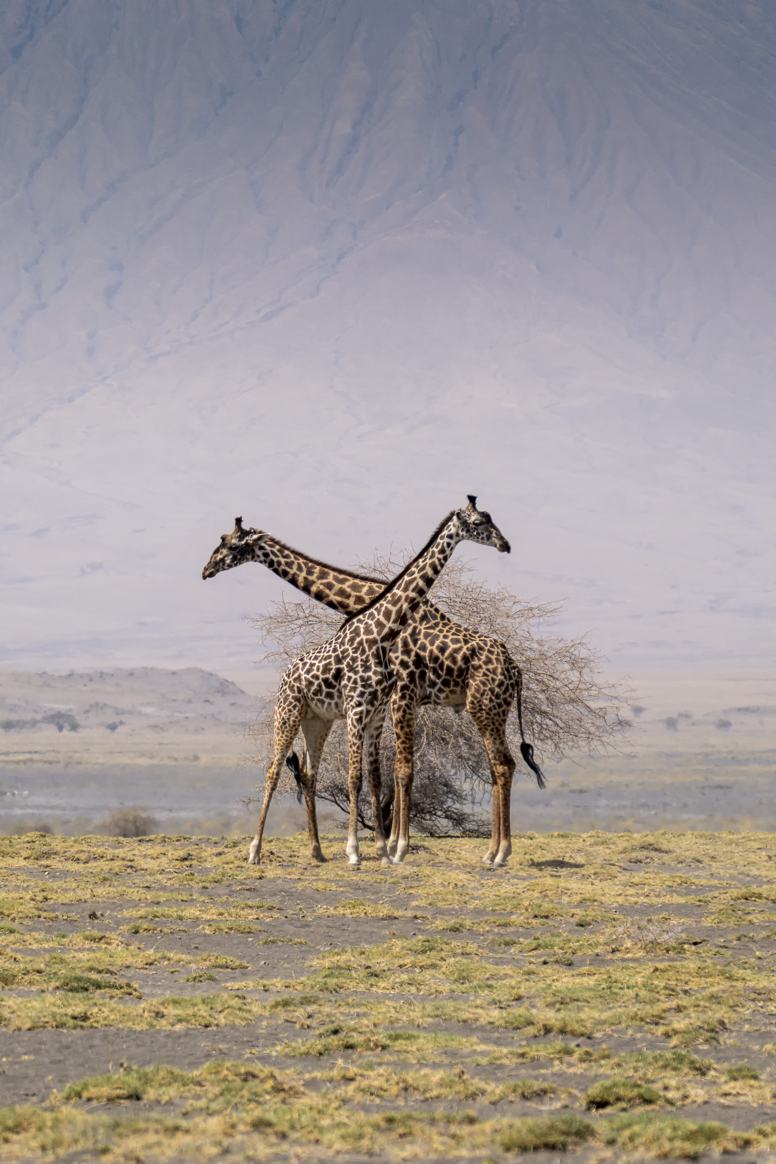 0225-tanzanie-2022.jpg