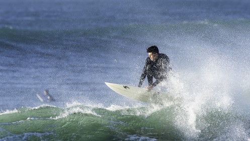 154-la-torche-2015-11-01.jpg