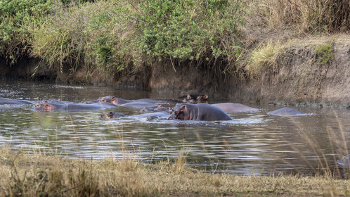 0104-tanzanie-2022.jpg