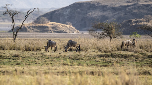 0252-tanzanie-2022.jpg