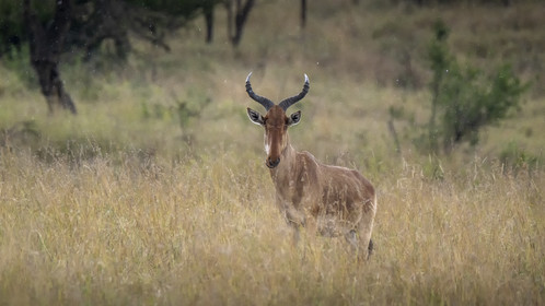 0176-tanzanie-2022.jpg