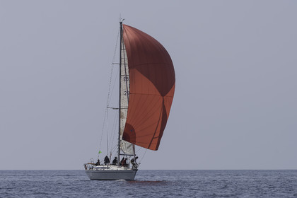335-osiris-irc-samedi-.jpg