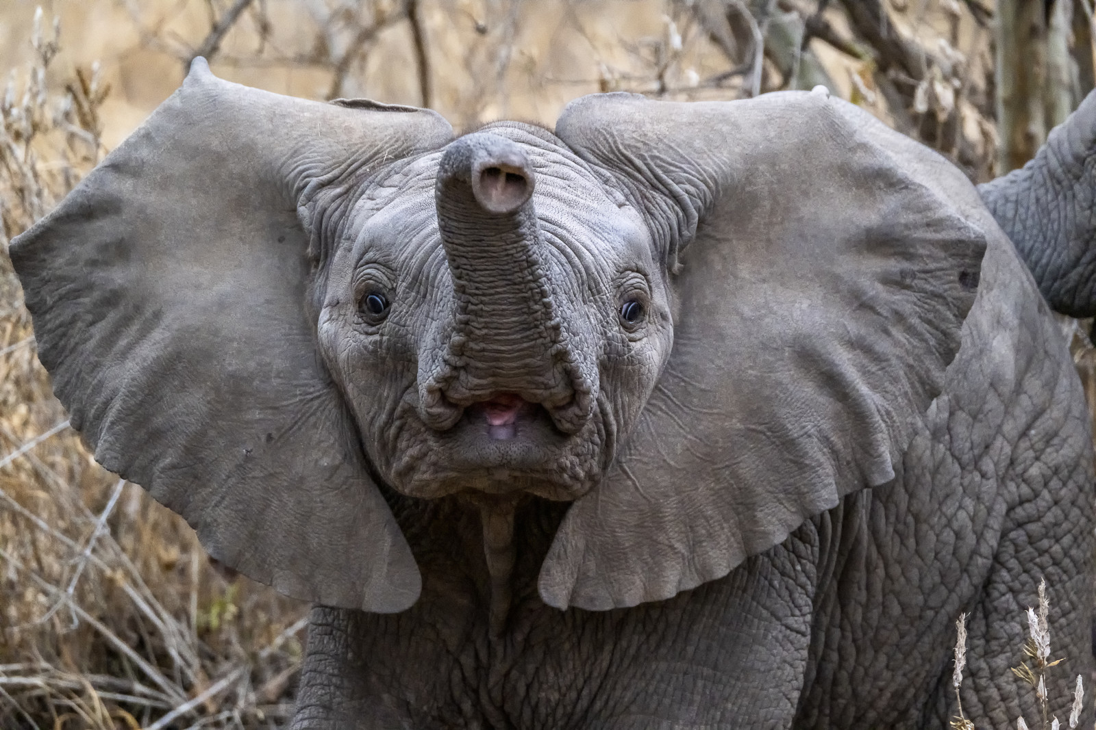 0142-tanzanie-2022.jpg