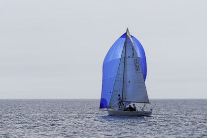 045-j80-vendredi-.jpg