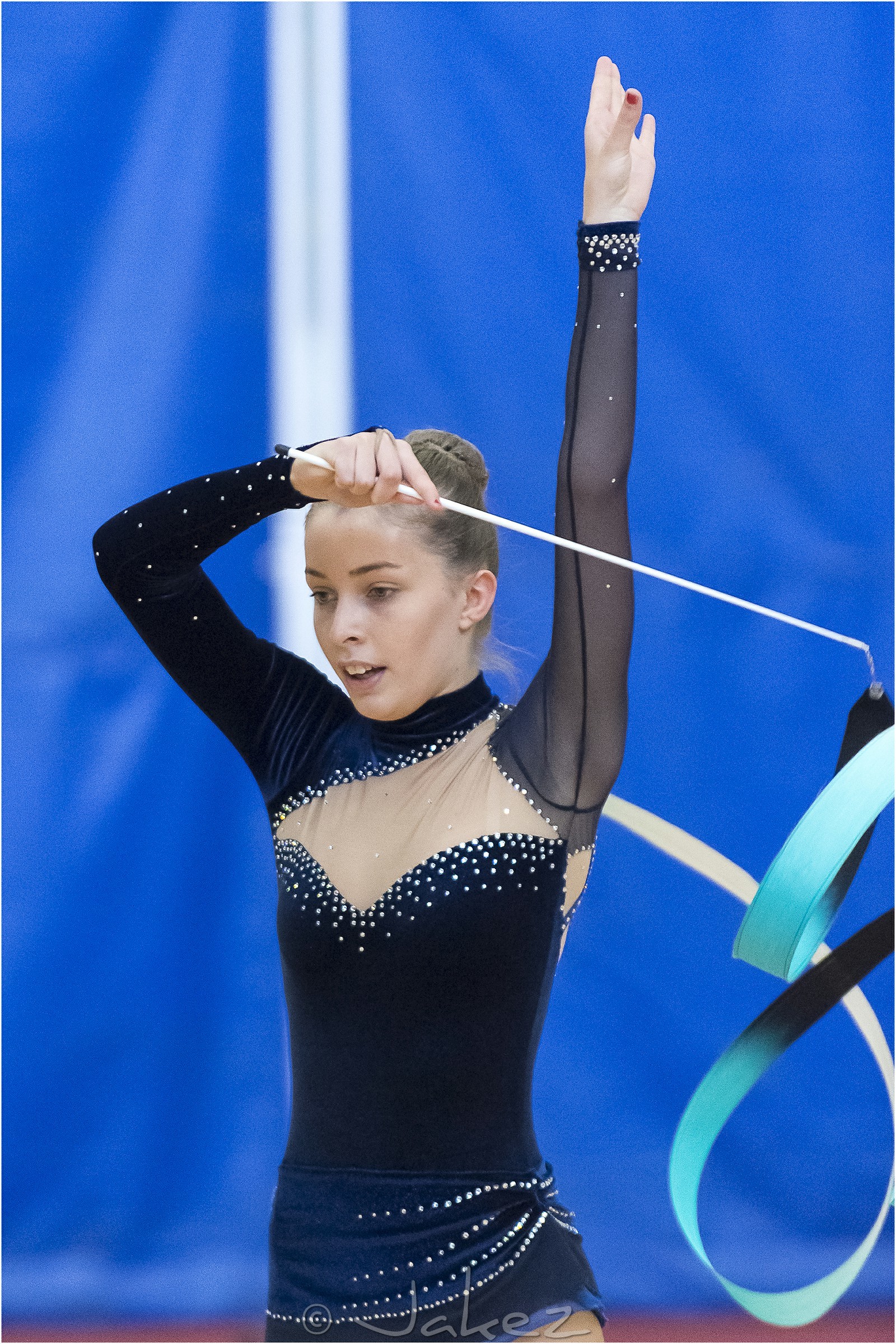 R3-35-16-FAISANT Chloé