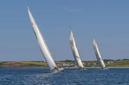 186-hoalen-2024.jpg