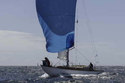 163.jpg