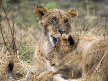 0163-tanzanie-2022.jpg