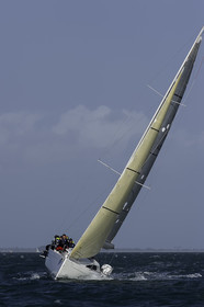 210-snt-2017.jpg