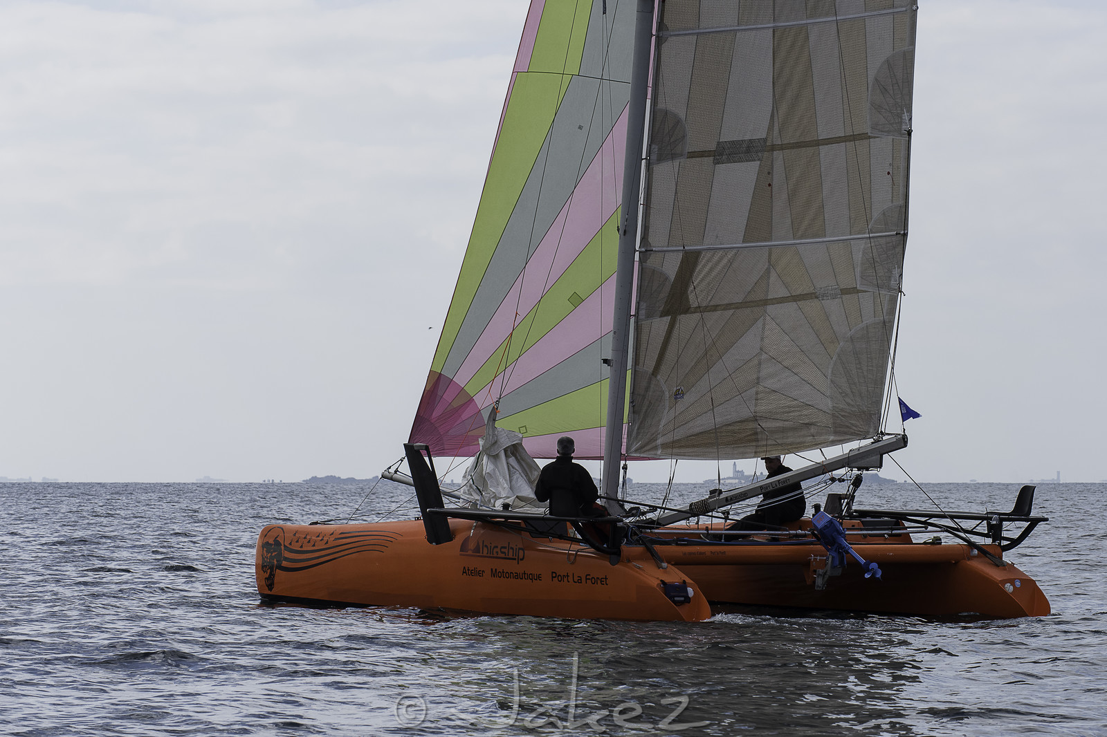 36-multyco-2016.jpg