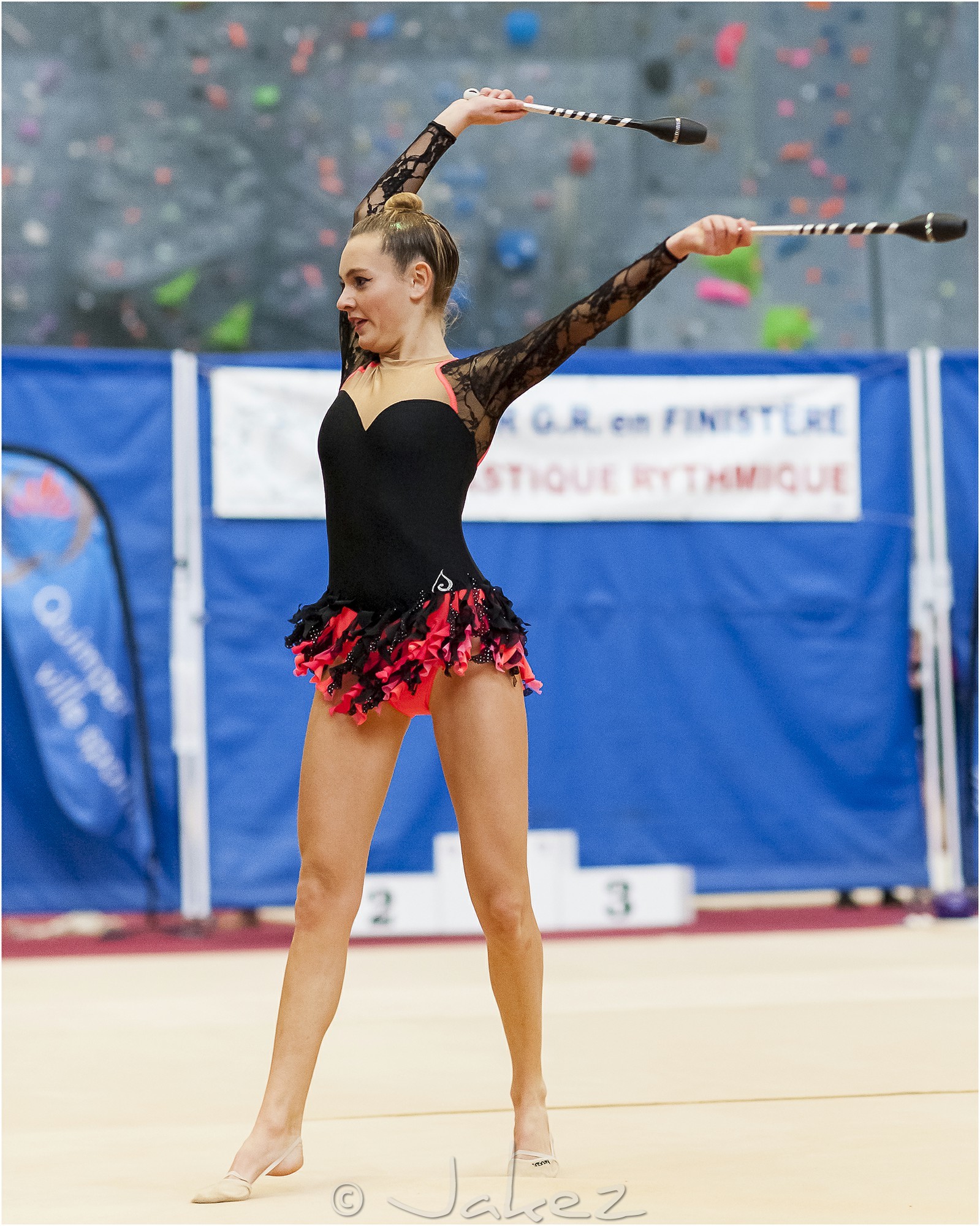 R1-012-12-MICHARD Coraline