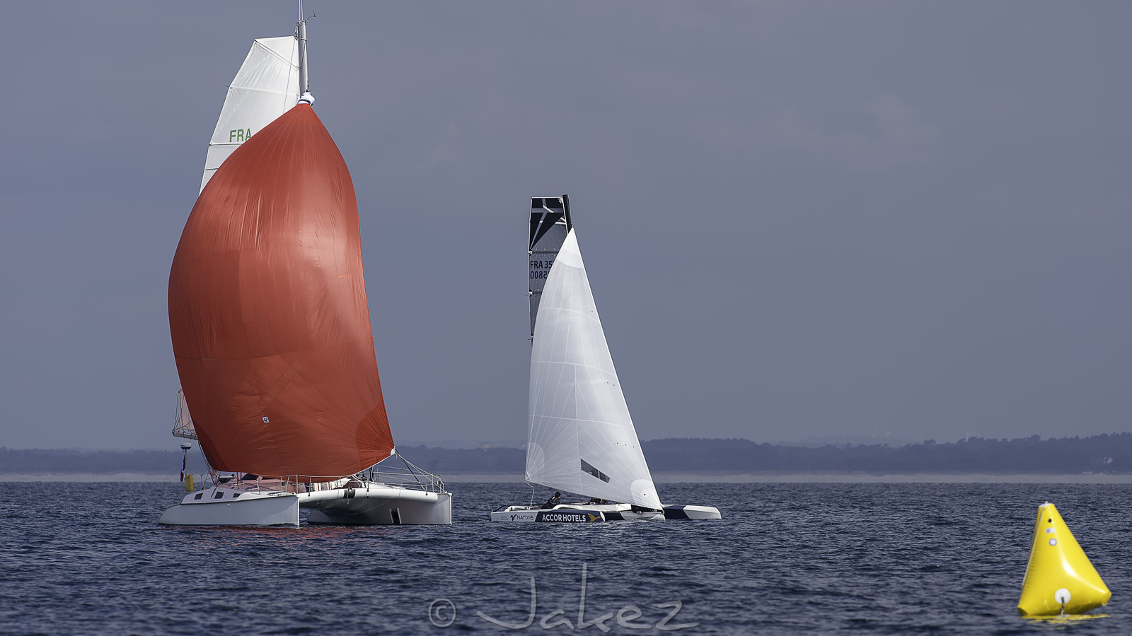51-multyco-2016.jpg