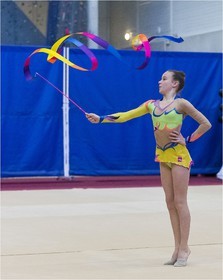 R4-04-24-FRESNEL Lisa