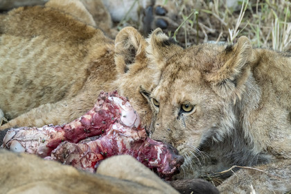 0097-tanzanie-2022.jpg